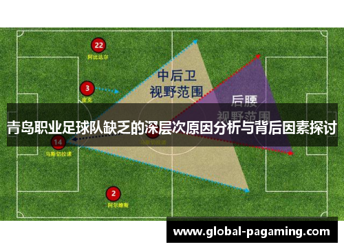 青岛职业足球队缺乏的深层次原因分析与背后因素探讨